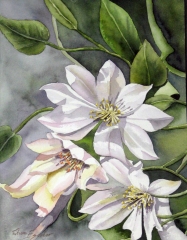 3_white_H_op_800x1027